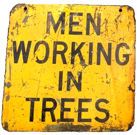 Men in Trees, Plugins and Other Dangers
