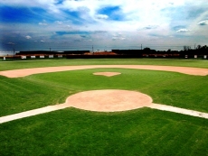 Read more about the article Field of Dreams Marketing